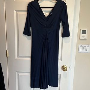 BCBG MaxAzria Runway dress